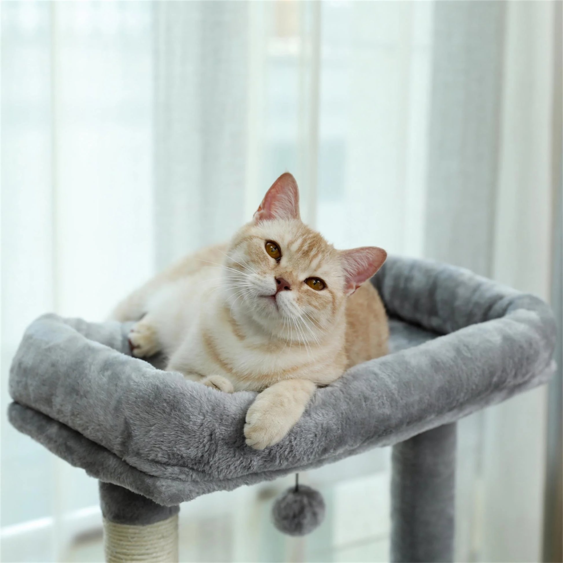 56" Multi-Level Cat Tree Tower House for Indoor Cats, Cat Condo Plush Perch with Scratching Posts, Gray